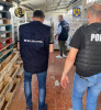 Grupare italo-română care aducea ilegal din China substanţe interzise în vestul tarii, destructurată de DIICOT