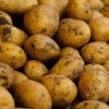 Cum să păstrezi cartofii proaspeți timp de 6 luni: Soluții eficiente pentru reducerea risipei alimentare