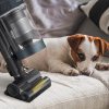 (P) Descoperă aspiratoarele Samsung: ajutorul de nădejde în casele cu animale de companie
