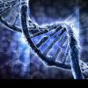 Secretele ADN-ului: cum îți poți apăra vitalitatea