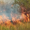 Incendiu puternic de vegetație uscată în comuna Cojasca, sat Iazu.