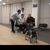 Câinele-robot cu șase picioare, destinat nevăzătorilor, ar putea intra în producția de serie