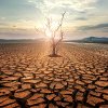 Fechet: Sudul României riscă să se transforme într-o adevărată Sahara: „În fiecare an pierdem 1000 de hectare de teren arabil”