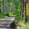 Finlanda adoptă o lege pentru a-i bloca pe migranții care trec granița din Rusia
