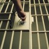 1 an și 5 luni de închisoare pentru un bărbat din Trivalea-Moșteni pentru săvârșirea infracțiunii de furt