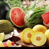 MADR: Nu există niciun fel de teste rapide care să ofere determinări corecte ale reziduurilor de pesticide în legume și fructe