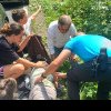 Femeie de 72 de ani, care a suferit un șoc anafilactic, asistată de jandamii din Șugag până la sosirea ambulanței