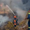 54 de incendii de vegetație în 24 de ore, în Grecia