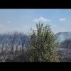 Incendiu de proporţii în comuna Işalniţa. Este afectat traficul feroviar şi rutier