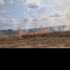 Incendiu de vegetație la Făcăi