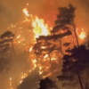 Rusia: Peste un milion de hectare de pădure sunt în flăcări