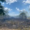 (VIDEO) Incendiu izbucnit la vegetație uscată în Slatina