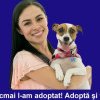 EDUXANIMA: De ce să adopți animale din stradă sau din adăposturi