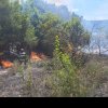 Lupta pompierilor argeșeni cu incendiile de vegetație uscată – peste 6 ha de teren distruse în numai câteva ore!