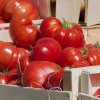 Ministerul Agriculturii a primit fonduri suplimentare pentru finanțarea programului „Tomata”