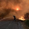 Alertă în Grecia! Zeci de incendii de vegetație izbucnite în doar 24 de ore