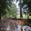 Bilanţul furtunii din seara de luni. Copaci, smulşi, acoperişuri luate de vânt în Sighetu Marmației, Budești, Cavnic, Rona de Sus și Petrova – foto