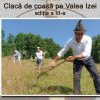 Ediţia din acest a evenimentului „Clacă de coasă pe Valea Izei” are loc în 27 iulie