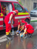 Emoționant! Pompierii au salvat din flăcări două pisici. Una a fost resuscitată