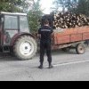 Jaf în pădurile din Argeș, raportul Poliției la șase luni: 2.083 metri cubi de lemne confiscate, aproape 600 de amenzi