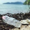Cantitatea anuală de deșeuri din plastic s-a dublat în ultimele două decenii la nivel global