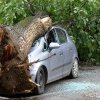 Copac căzut peste un autoturism și carosabil pe strada George Enescu din Baia Mare