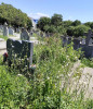 FII REPORTER – FOTO/VIDEO: Cimitirul ortodox de pe centură, lăsat de izbeliște într-o stare jalnică