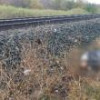 Trista poveste a adolescentului de 16 ani care s-a sinucis după ce s-a aruncat în fața trenului