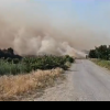 242 de pompieri s-au luptat cu flăcările incendiului izbucnit lângă un cămin de bătrâni; 450 hectare de mirişte, arse