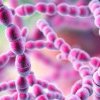 Alertă în lumea medicală: agenții patogeni fungici suferă mutații extrem de periculoase, pe măsură ce clima se schimbă (studiu)