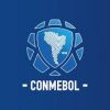 CONMEBOL a recunoscut o greşeală de arbitraj contra Braziliei la Copa America