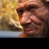 Cum să gătești ca un Neanderthal? Rețetele folosite pe vremuri