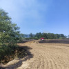 FOTO Incendiu de proporții: Ard peste 12 hectare de grâu și 20 de hectare de vegetație