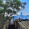 FOTO Incendiu de vegetație în Giurgiu: Două case şi bunurile oamenilor aflate în interior, mistuite de flăcări