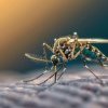 Mare atenție la țânțari! Primul caz de infectare cu virusul West Nile în București