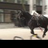 Panică pe străzile Londrei: trei cai militari, aparținând Household Cavalry Mounted Regiment, au scăpat în timp ce șase cavaleri se antrenau