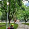 Parcul Sebastian - Oaza de verdeață urbană a sectorului 5