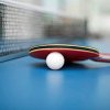 PARIS2024 OLYMPICS Table tennis: Bernadette Szocs advances to the round of 16