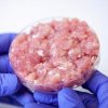 Primul tip de carne artificială aprobat în Europa va fi comercializat în Marea Britanie