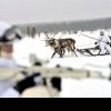 Războiul arctic - O alianță occidentală încercă să înfrunte Rusia și China