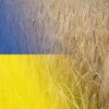 România intenționează să crească tranzitul de cereale ucrainene pe Dunăre