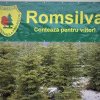 Romsilva anunţă că incendiul din judeţul Mehedinţi se manifestă într-o pădure valoroasă de pin din zona de protecţie a Parcului Natural Porţile de Fier