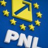 Unanimity in PNL for organisation of presidential elections on schedule (PNL leader)