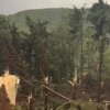 VIDEO Furtună cum rar se poate vedea - Pădure pusă la pământ, acoperișuri smulse, bărbat lovit de fulger în Maramureș