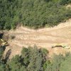 VIDEO Grindeanu, după două zile de lucrări pe Valea Oltului: Pe măsură ce accesul la zonele de lucru va fi mai facil, viteza lucrărilor de defrişare va creşte
