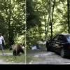 VIDEO Imaginile inconștienței: Turiști care vor să-și facă selfie cu ursul sunt atacați