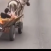 VIDEO Un cal puter, raliu pe șosea - Căruțașul care a băgat spaima în șoferi, pe DN 72, amendat drastic