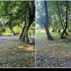 FOTO: Au început lucrările de amenajare a Parcului Zăvoi din Petrești. Cum va arăta zona