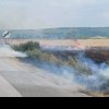 Incendiu pe un câmp dintre Blaj și Cergău. Arde un lan de porumb