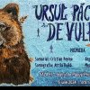 Ursul păcălit de vulpe, spectacol – premieră la Teatrul de Păpuși ”Prichindel” din Alba Iulia